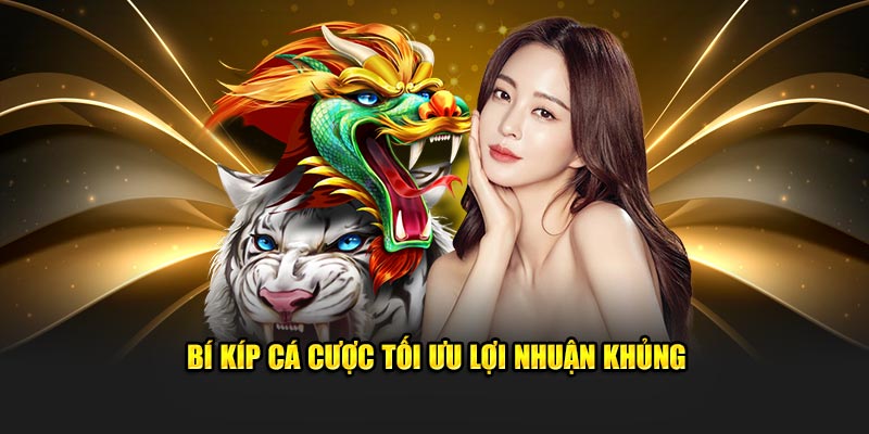 Bí kíp cá cược tối ưu lợi nhuận khủng