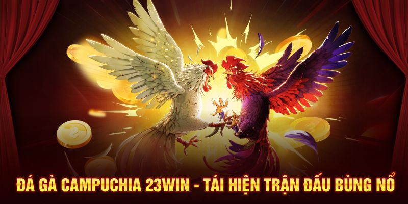 Đá Gà Campuchia 23Win - Tái Hiện Trận Đấu Bùng Nổ