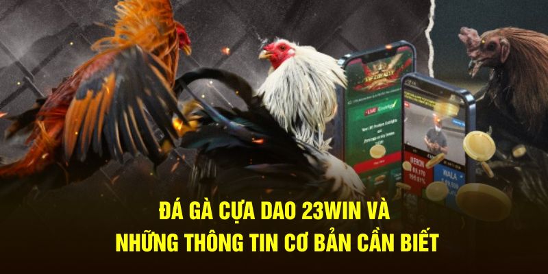 Đá Gà Cựa Dao 23Win Và Những Thông Tin Cơ Bản Cần Biết