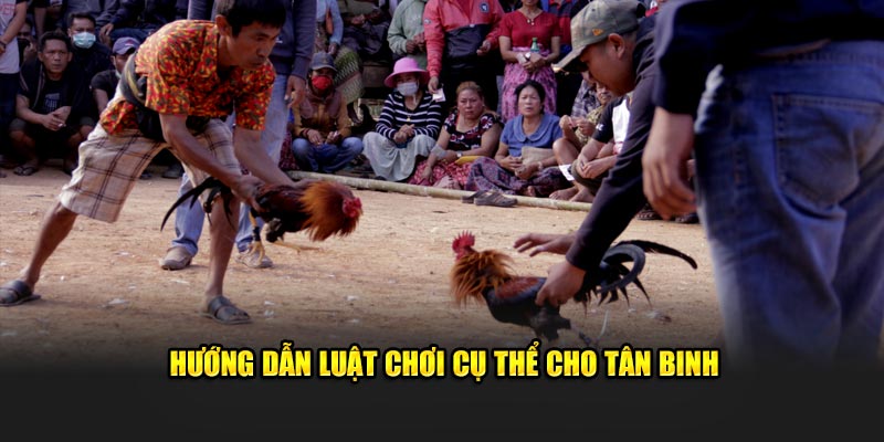 Hướng dẫn luật chơi cụ thể cho tân binh