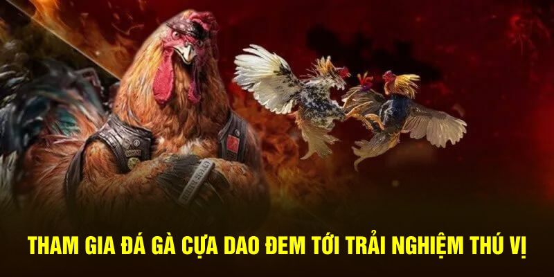 Tham gia đá gà cựa dao đem tới trải nghiệm thú vị 